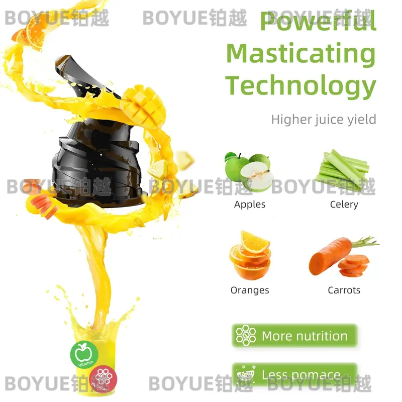 BioloMix Cold Press Juicer 78m - Juicer Cold Press Slow recension och pris