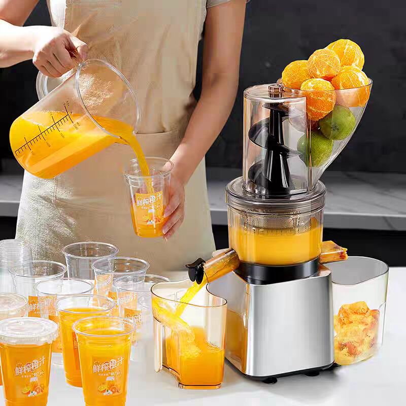 500W Hot Sale Silver Body Cold - Juicer Cold Press Slow recension och pris