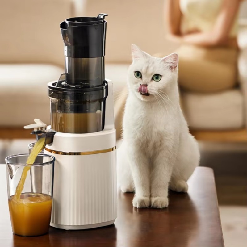 Slow Masticating Cold Press Ju - Juicer Cold Press Slow recension och pris