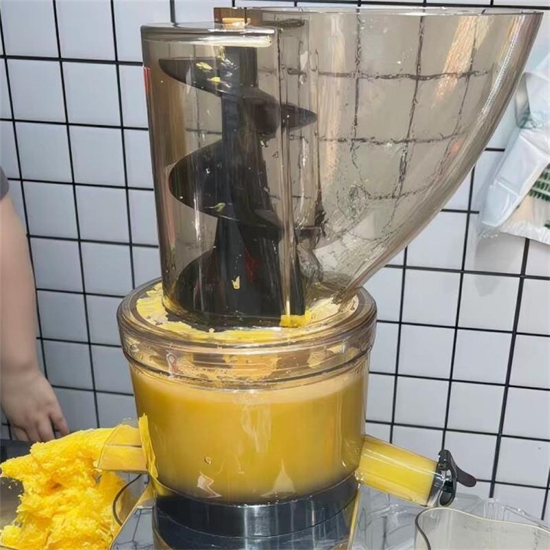 500W Commercial High Productiv - Juicer Cold Press Slow recension och pris