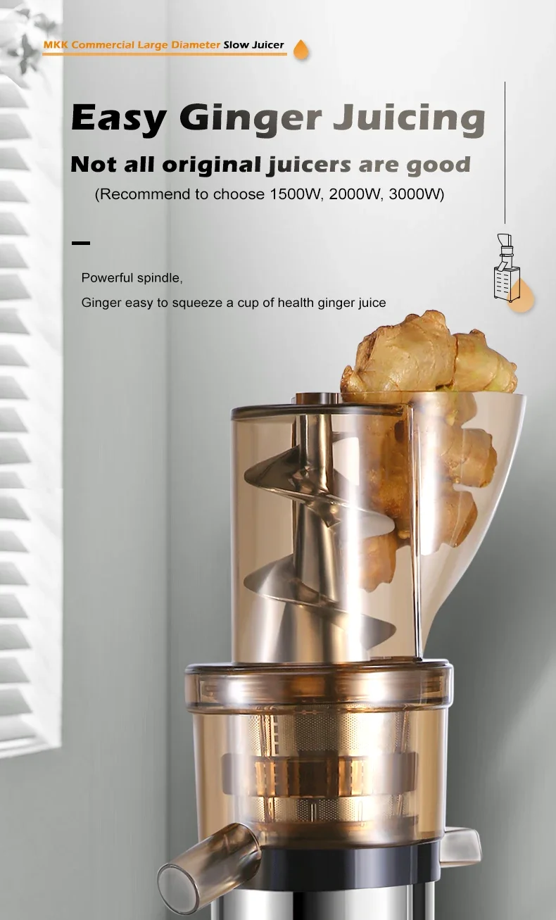 Professional Juicer Extractor  - Juicer Cold Press Slow recension och pris