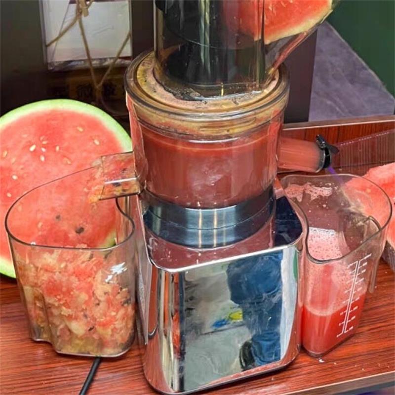 500W Commercial Use Home Use S - Juicer Cold Press Slow recension och pris